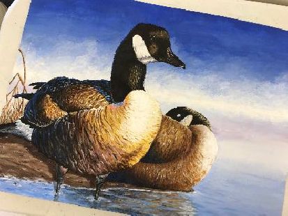 ND Jr Duck Stamp Competition