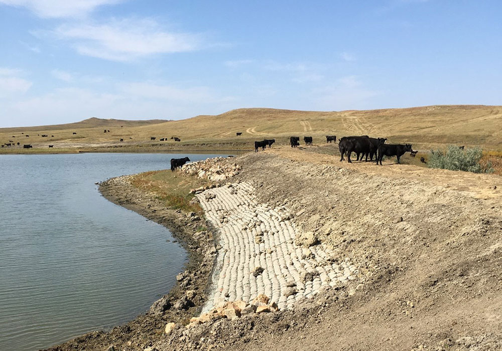 Wildlife and Livestock Dams Enhancement Project
