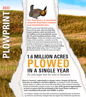 2023 WWF Plowprint Report Released