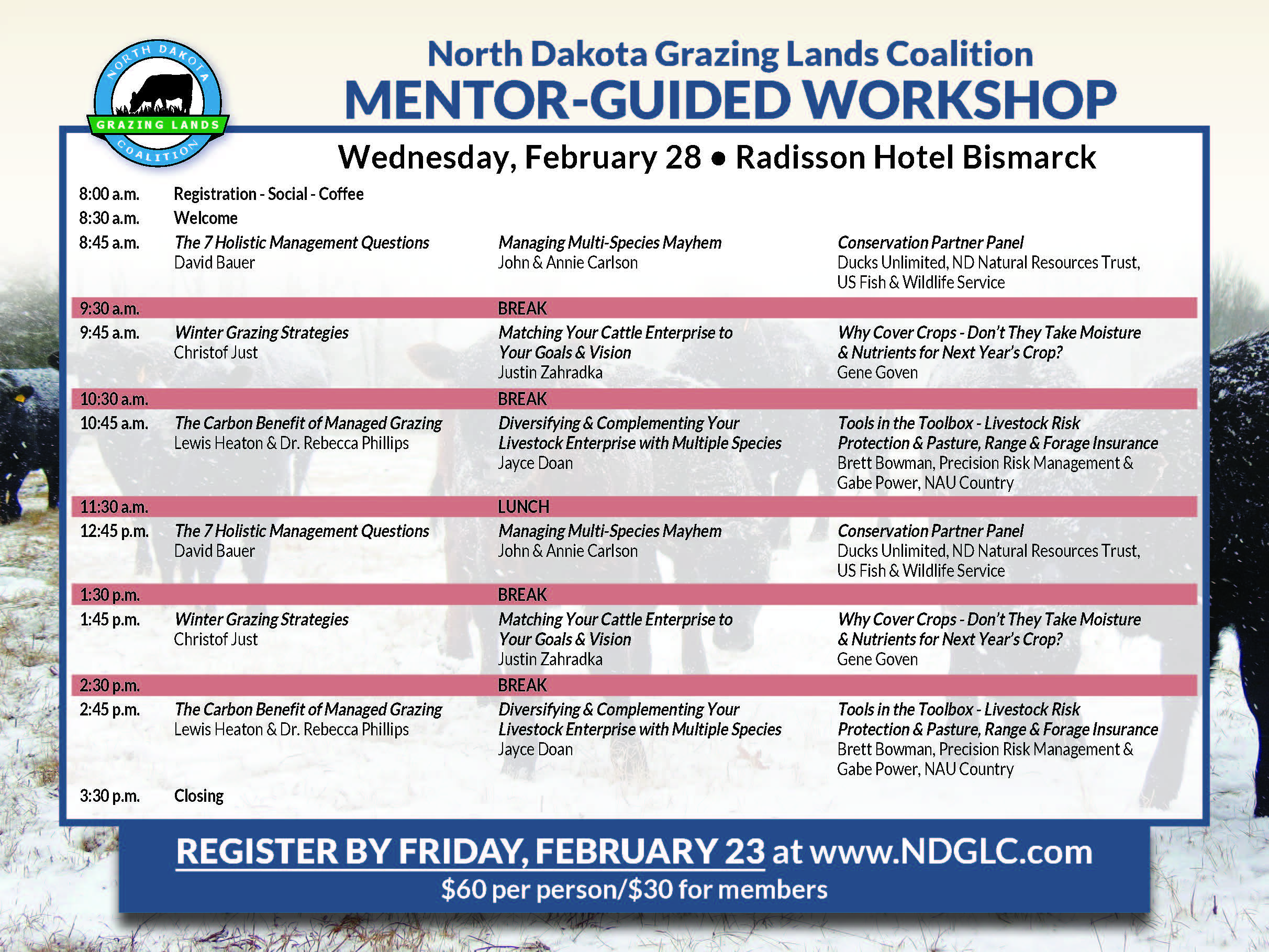 2024_Mentor-Guided_Workshop_Agenda.jpg