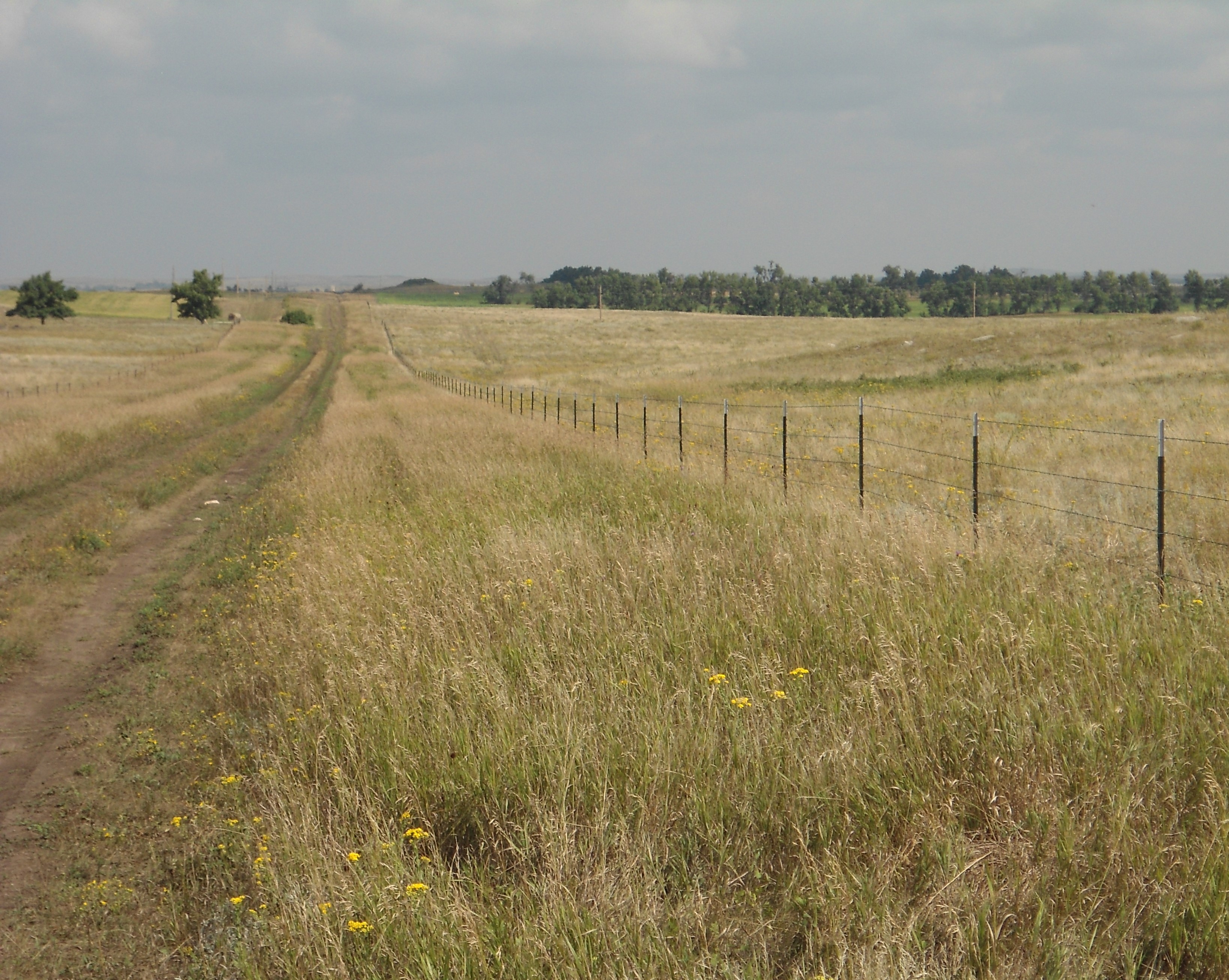 Grazing Resiliency in the Bakken (GRB)