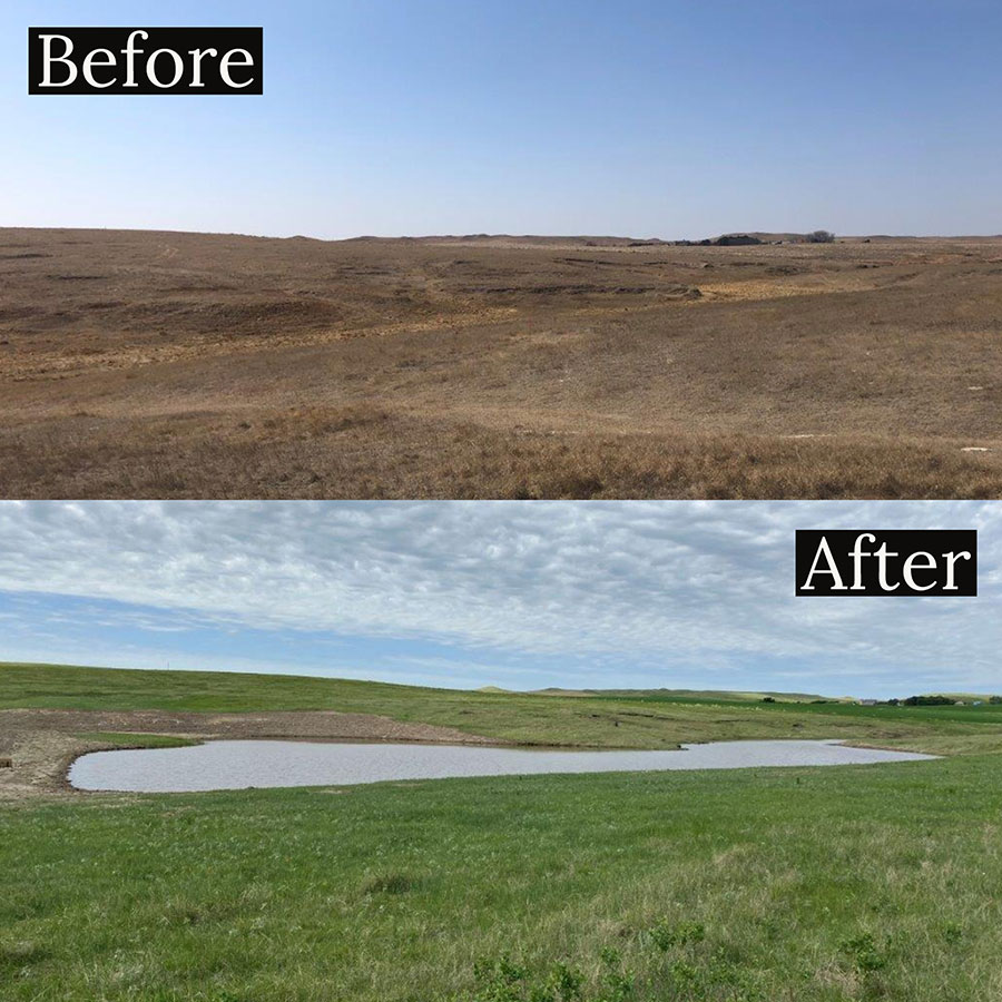 Wetland Restoration